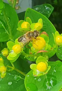 Annelies 03 Hoe laat gaat de bar open